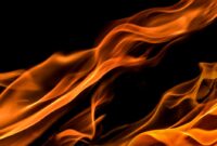 Why Website Downtime is a Disaster for Your Online Reputation (And How to Prevent It)