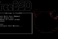 A Comprehensive Guide to FreeBSD 2023 for Developers