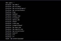 Guide: WordPress Site’s SEO with Robots.txt Optimization