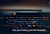 How to use wget (Direct download files from the internet) – Examples, Scripts